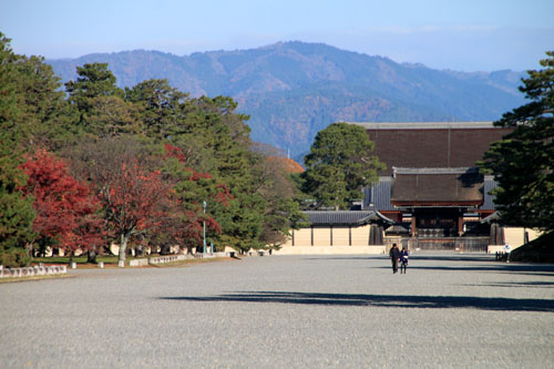 紅葉だより58 京都御苑の紅葉名終末_e0048413_2146986.jpg