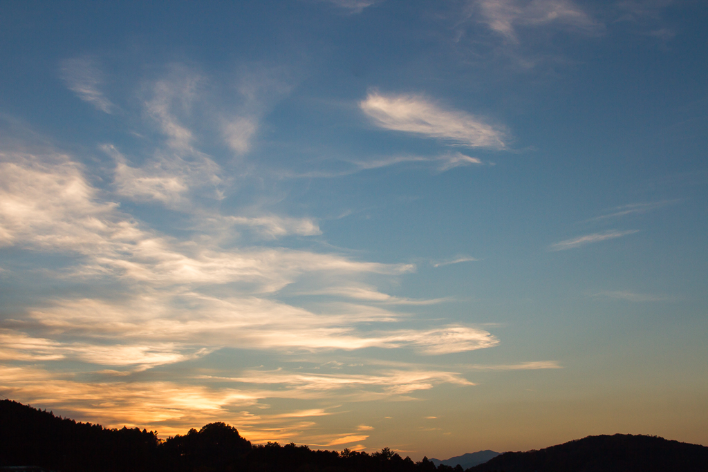 b0010915_195317.jpg
