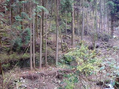 f0193521_43383.jpg