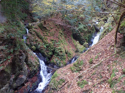 f0193521_58811.jpg