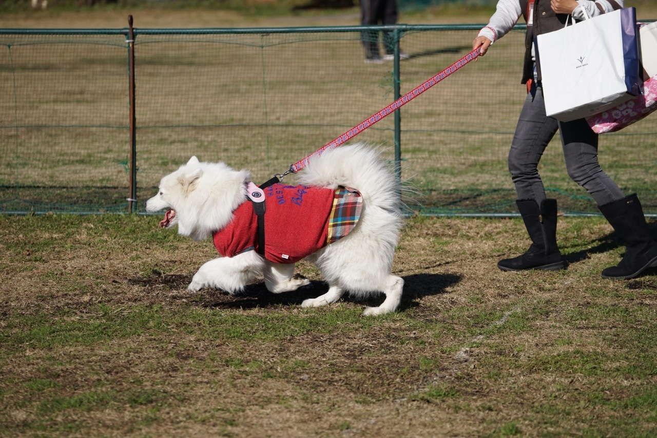 富士さも2015〜冬〜　その二_f0234023_05465066.jpg