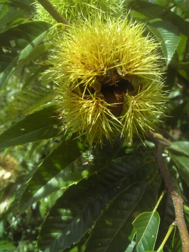 d0233324_19185979.png