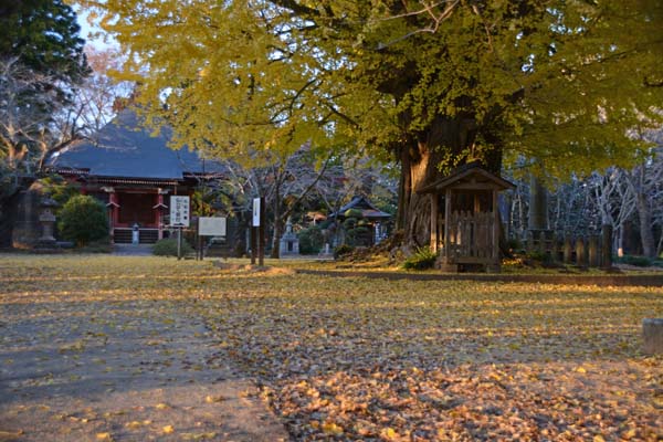 f0147025_18111374.jpg