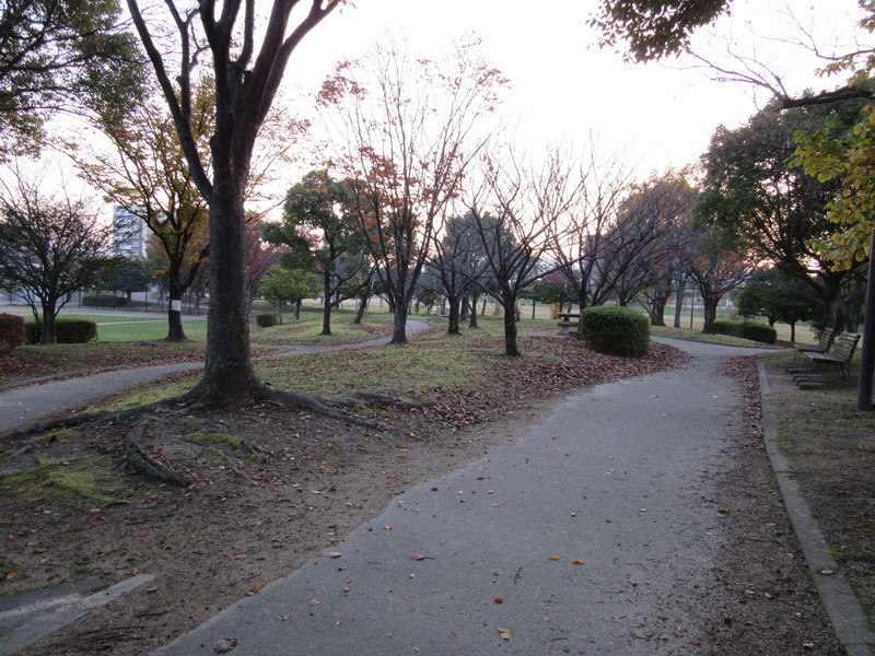 b0014732_759917.jpg
