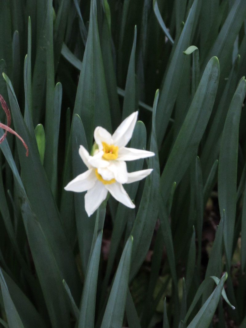 b0014732_803460.jpg