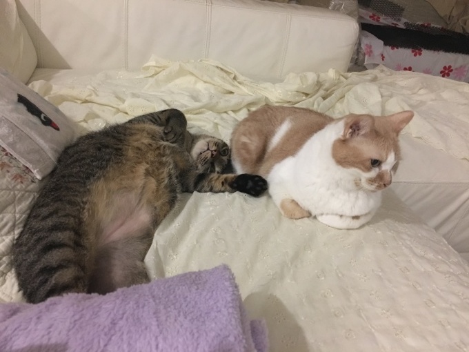 f0327233_23420978.jpeg