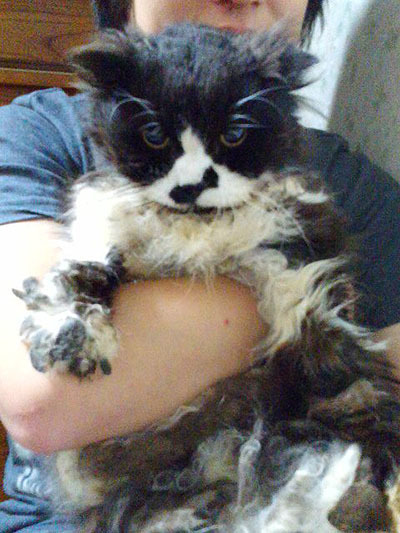 悲しくて眠れない ぶんち べあ Bearbunch S Workbasket 悲しくて眠れない ぶんち べあ Bearbunch S Workbasket