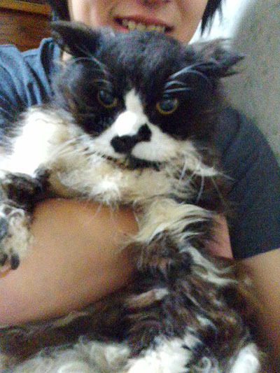 悲しくて眠れない ぶんち べあ Bearbunch S Workbasket 悲しくて眠れない ぶんち べあ Bearbunch S Workbasket