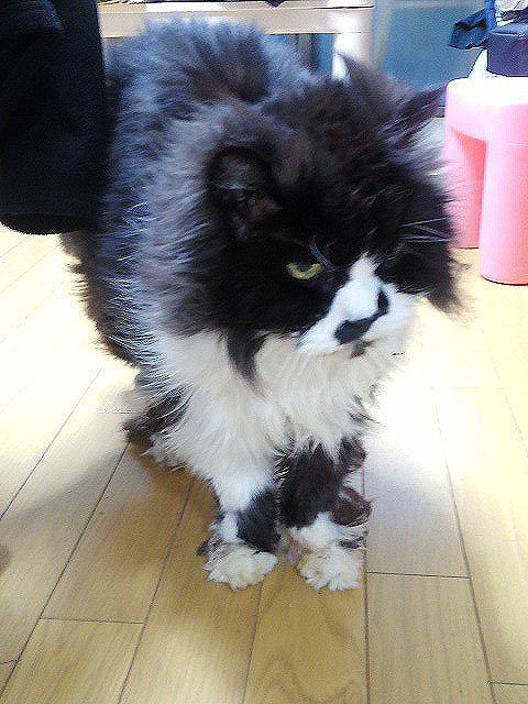 悲しくて眠れない ぶんち べあ Bearbunch S Workbasket 悲しくて眠れない ぶんち べあ Bearbunch S Workbasket