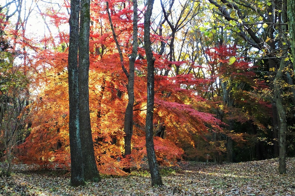 b0236251_121014.jpg