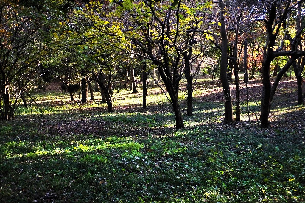 b0236251_1213516.jpg