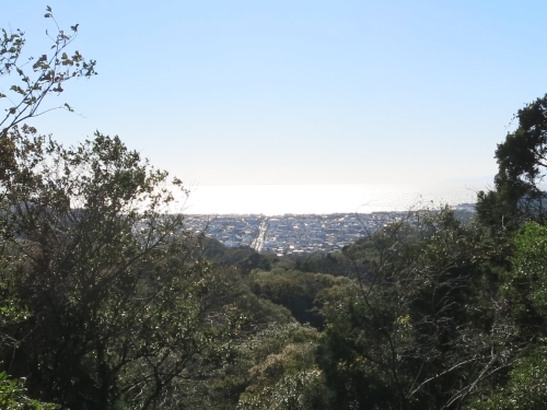 e0170558_00442481.jpg