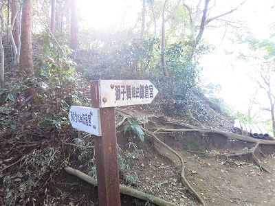 e0170558_01034632.jpg