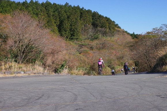 a0232368_21240999.jpeg