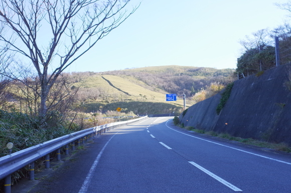 a0232368_21403616.jpeg
