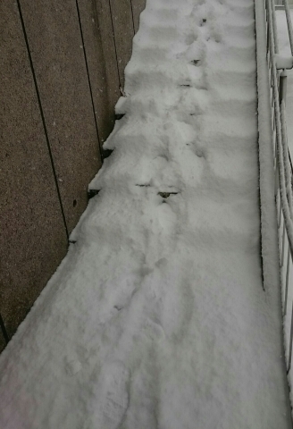 c0311170_09232486.jpg