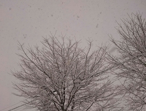 c0311170_09232866.jpg