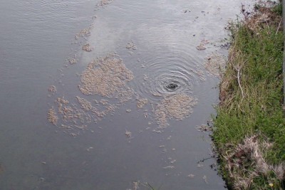 c0112172_23341814.jpg