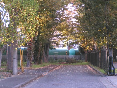 c0112172_23345946.jpg