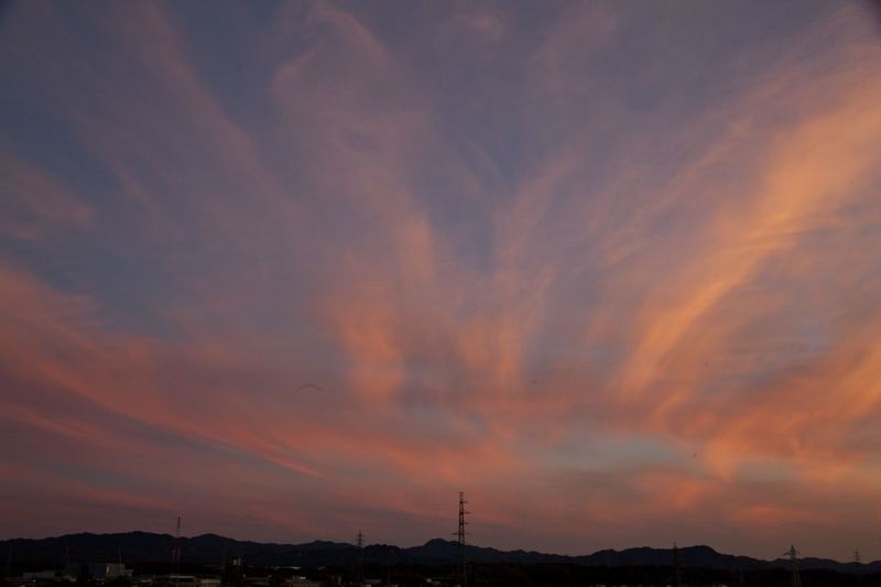 c0131875_17191955.jpg