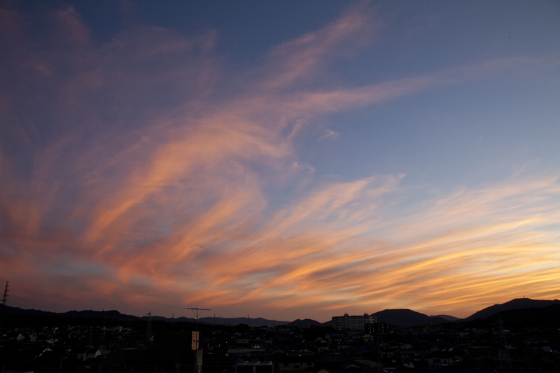 c0131875_1719447.jpg