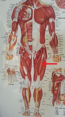 f0228680_11223823.jpg