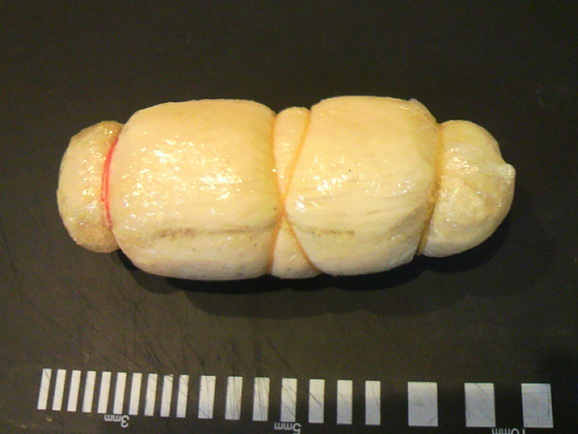 d0206796_2074622.jpg