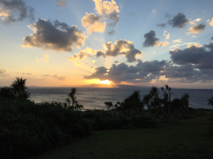 夕焼け！_d0003502_20295886.jpg