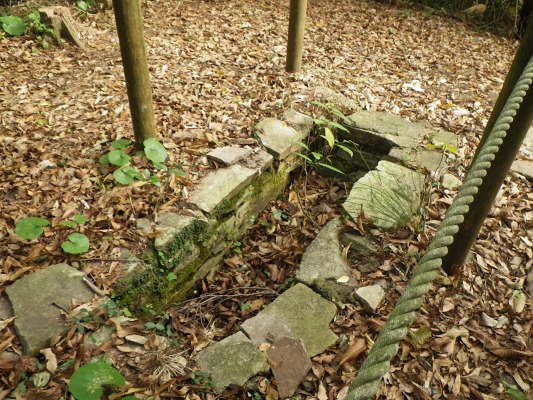 f0187402_20594598.jpg