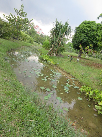 c0212604_603438.jpg