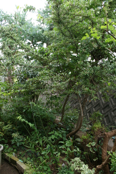 a0139007_08403915.jpg