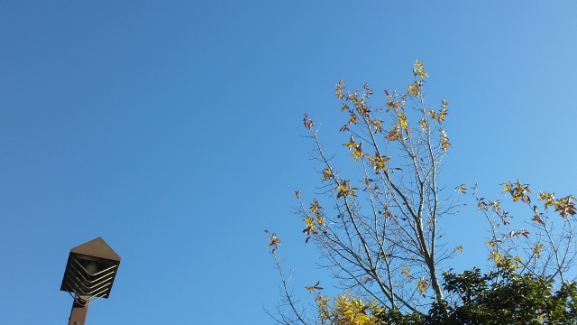 d0238608_1191217.jpg