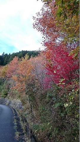 遅い紅葉_c0263809_2229762.jpg