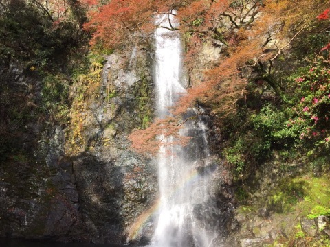 a0289610_23085113.jpeg