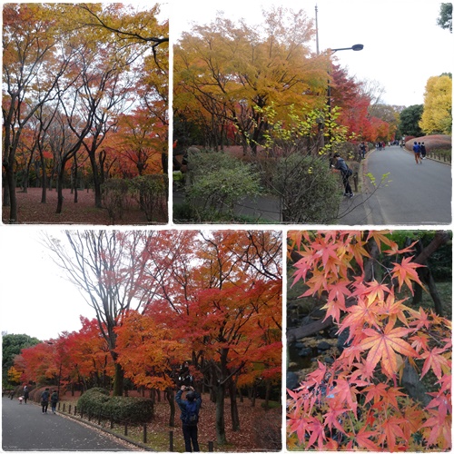 北の丸公園_d0048312_1833144.jpg