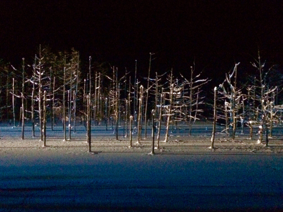 f0096216_23230104.jpg