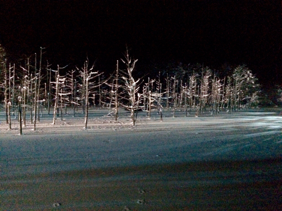 f0096216_23230140.jpg