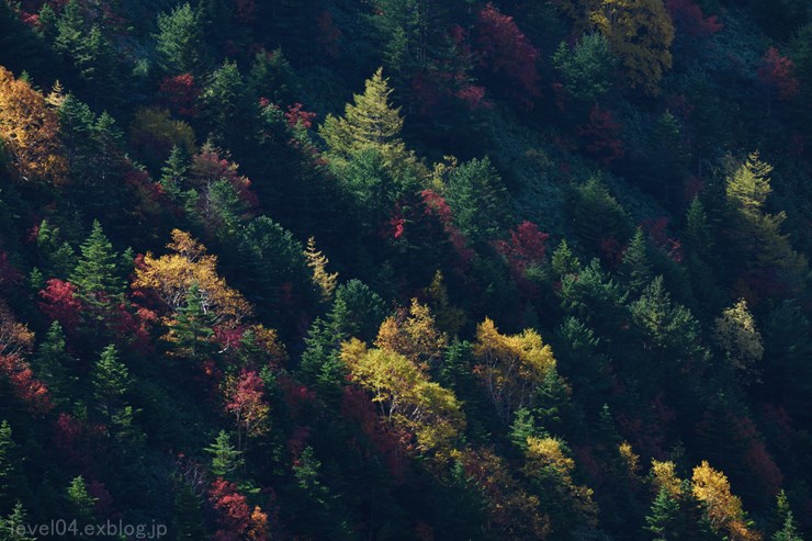 志賀高原 横手山のぞき ～紅葉～ 1_d0319222_13573587.jpg