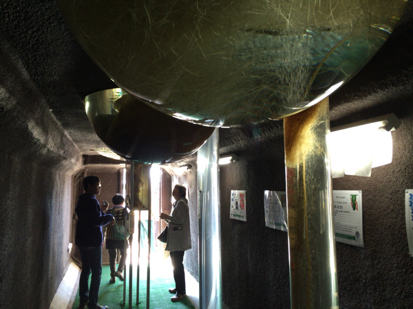 e0351725_15383531.jpg