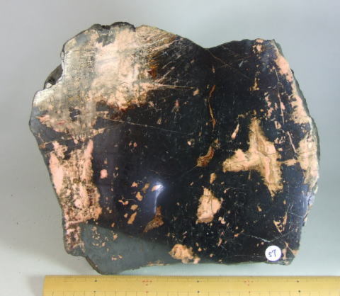 d0045626_22335502.jpg