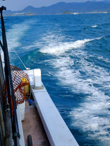 「熊本・芦北 不知火湾うたせ船 アシアカエビ漁体験」_a0000029_11543157.jpg