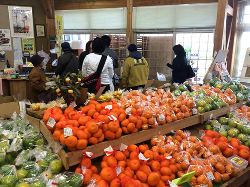 「熊本・水俣 みなまた観光物産館まつぼっくり」_a0000029_2245241.jpg