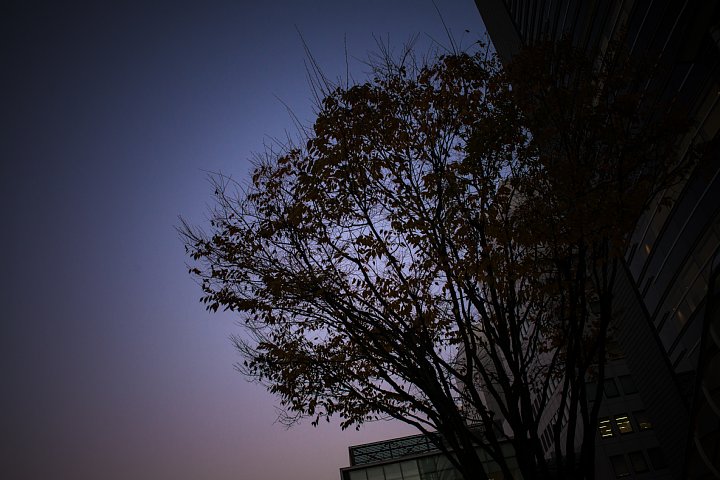 b0134829_21151873.jpg