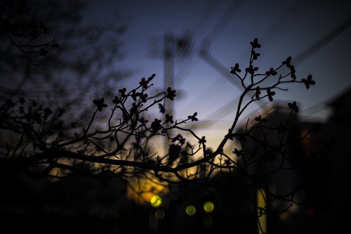 b0134829_2115284.jpg