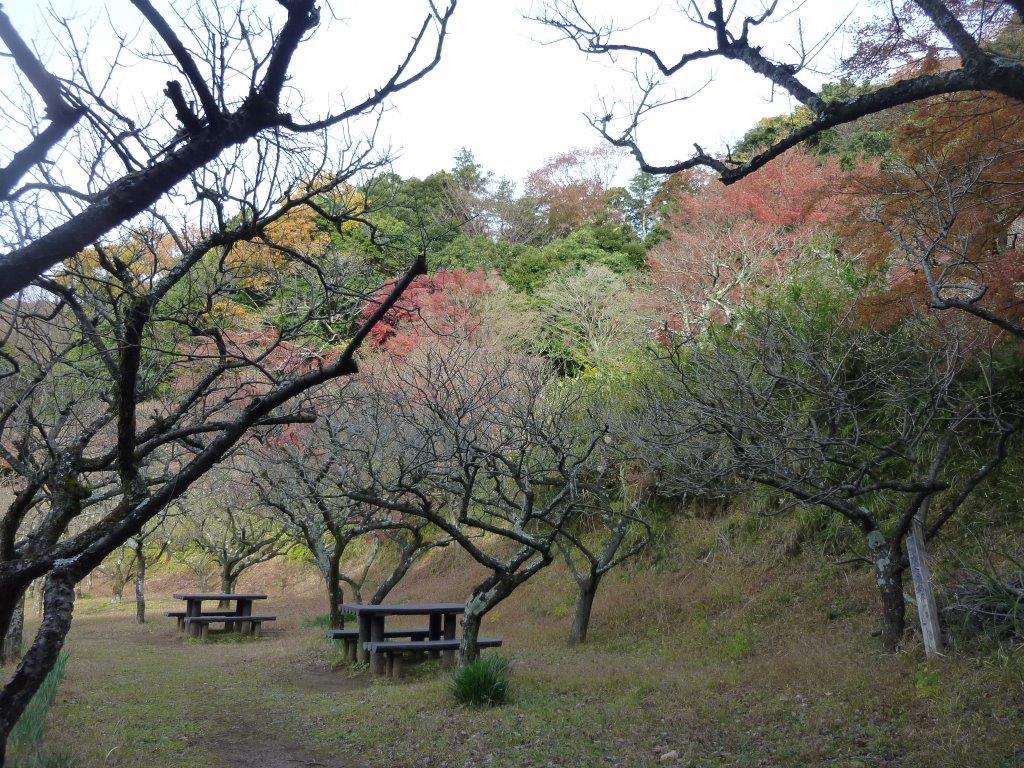 b0298935_22553198.jpg