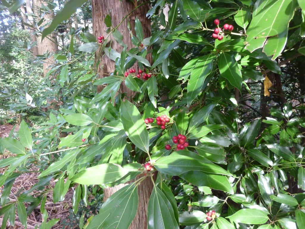 b0298935_22554508.jpg