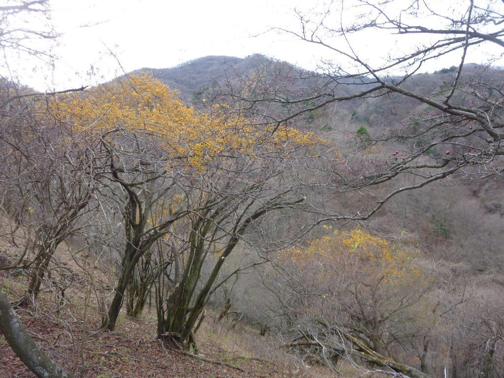 b0298935_23043570.jpg