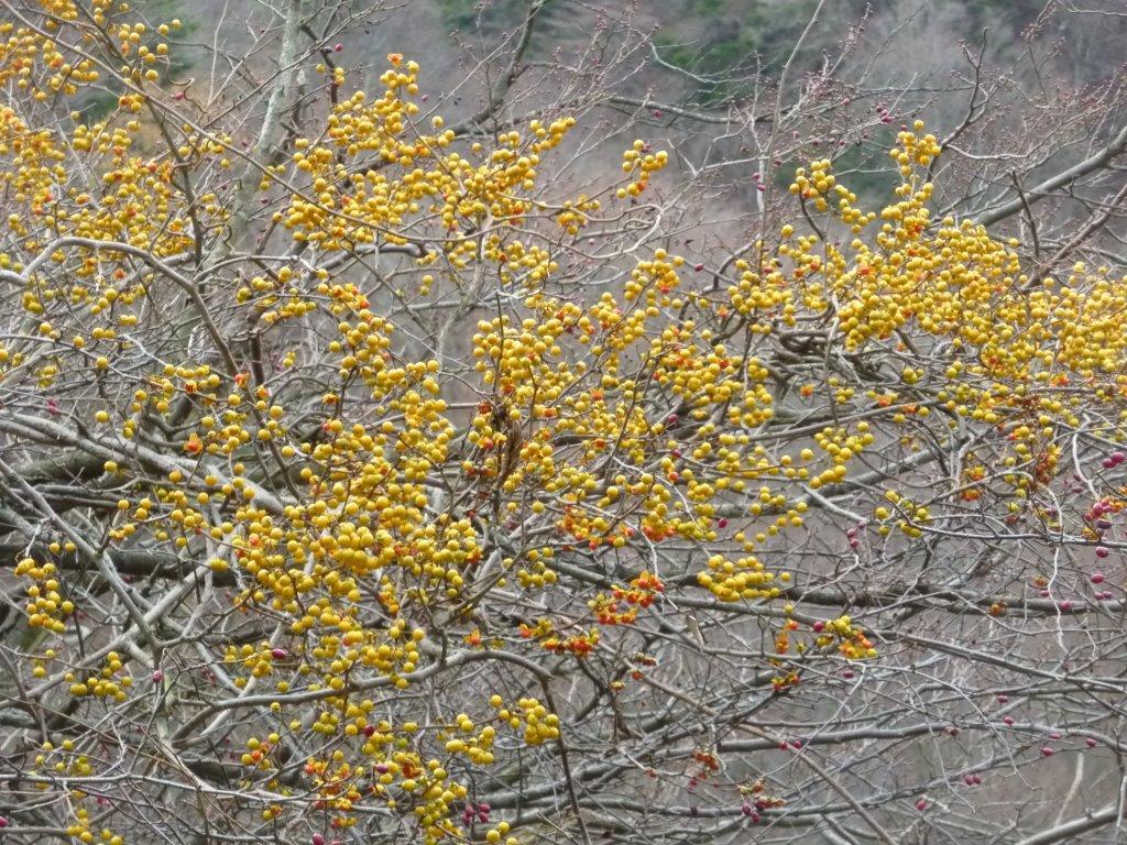 b0298935_23043819.jpg