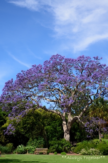 c0319240_21233335.jpg