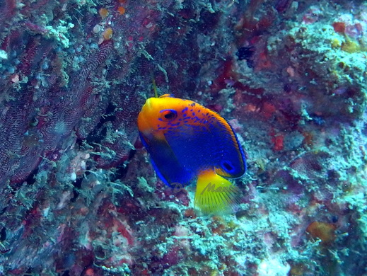 b0236647_8585492.jpg